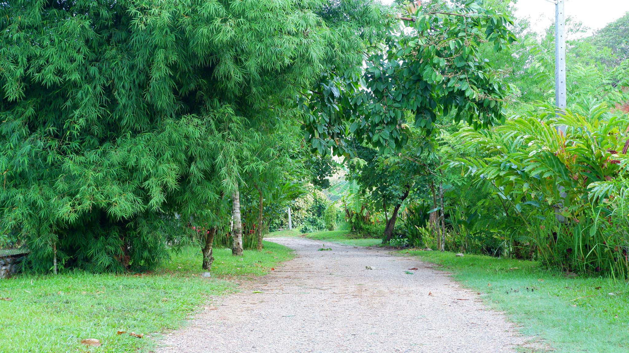 Katiliya Nature Park