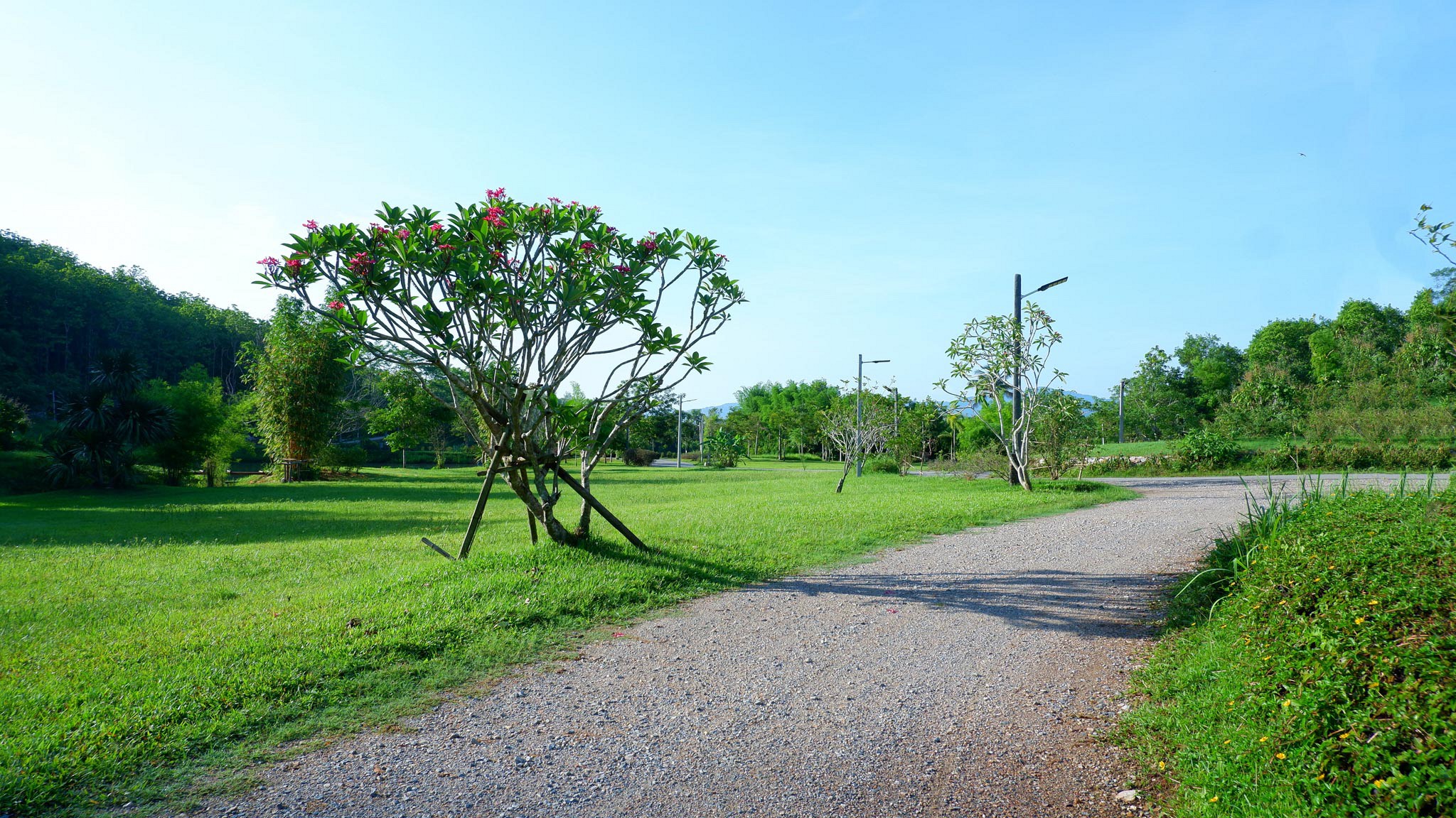 Katiliya Nature Park