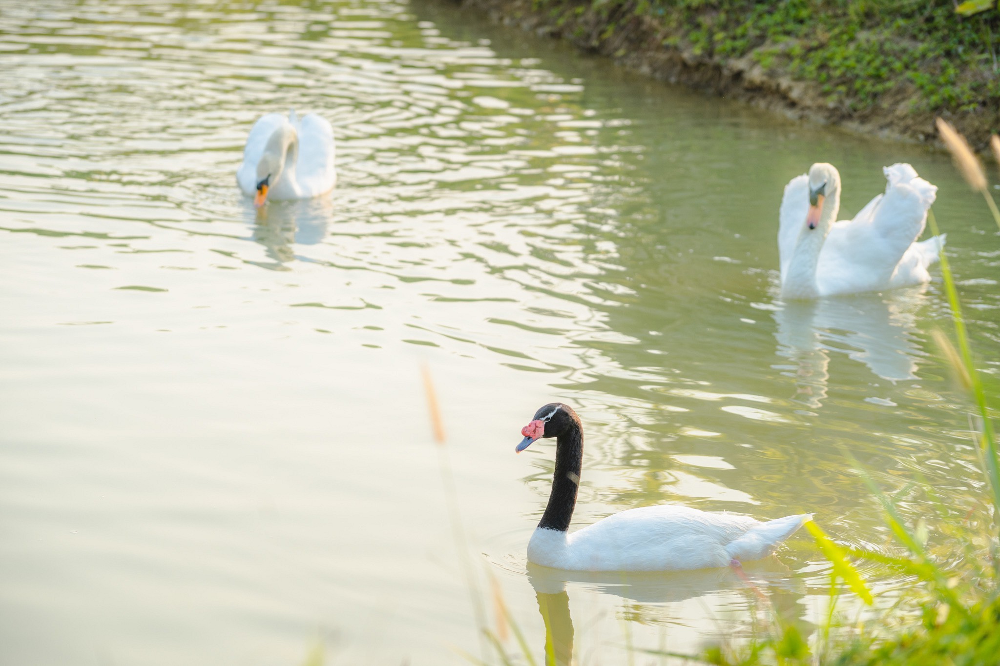 Katiliya Nature Park