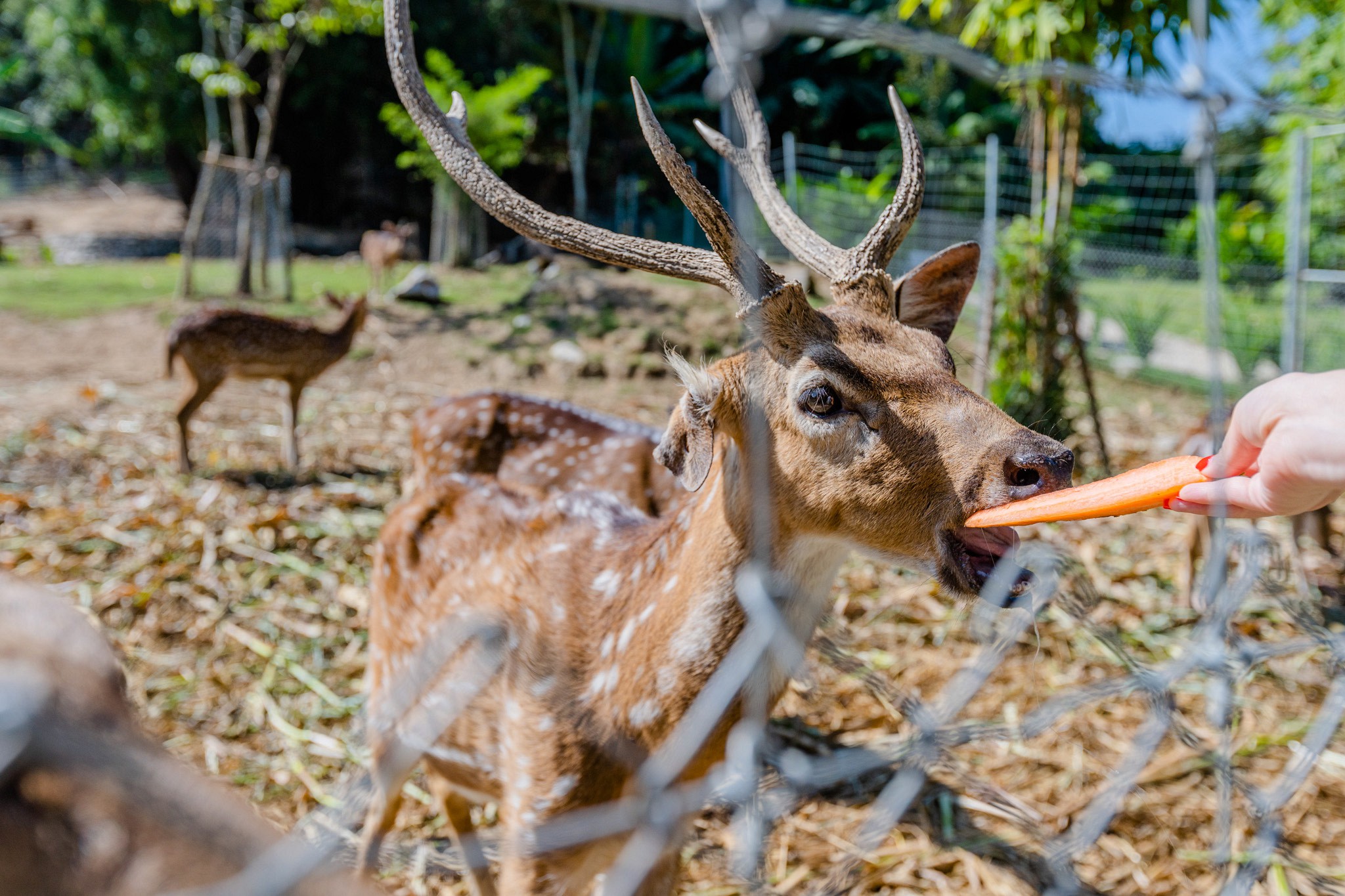 Katiliya Nature Park