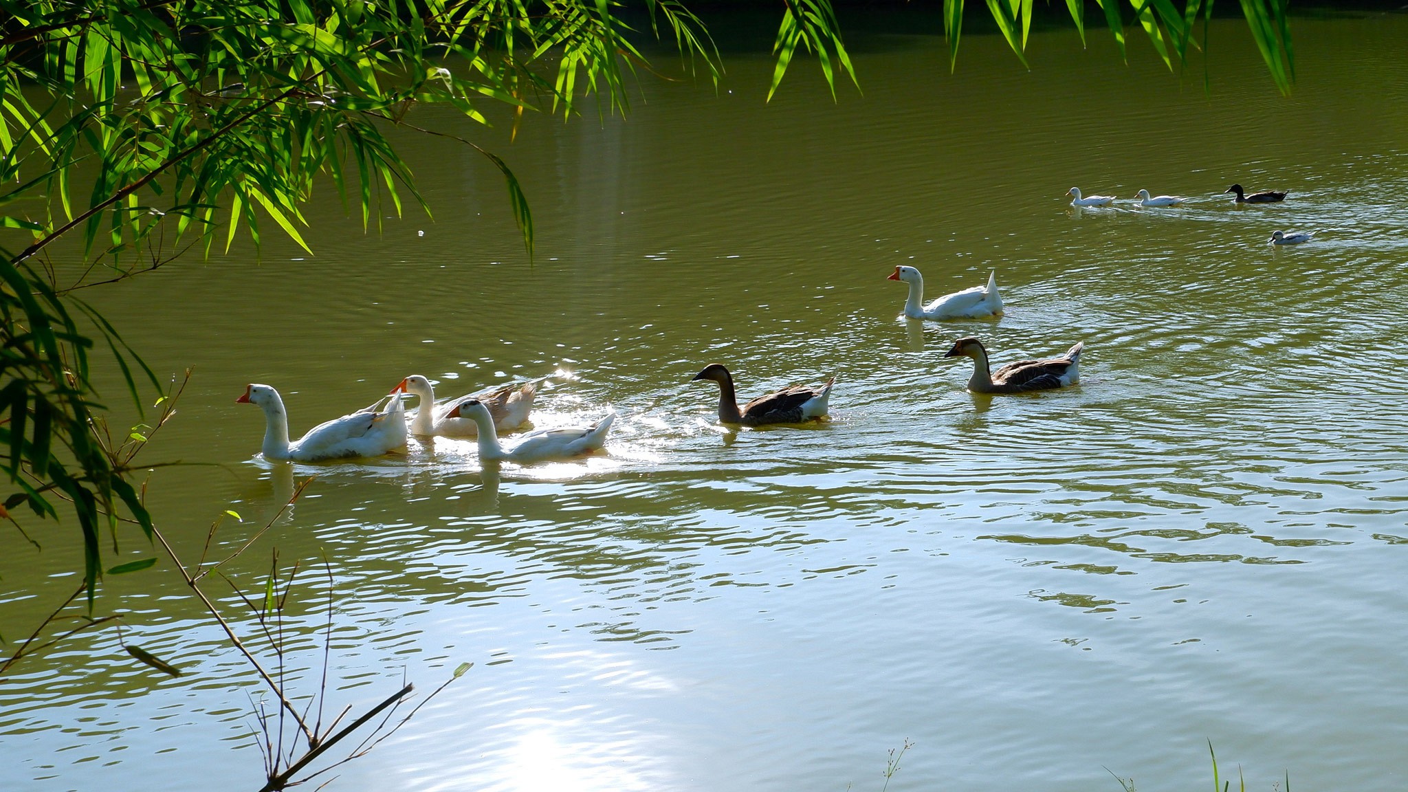 Katiliya Nature Park